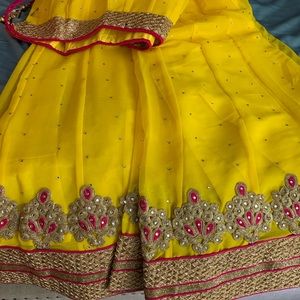Indian lehenga chaniya choli